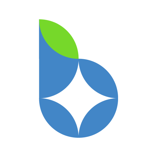 Bridging Cyber Logo icon