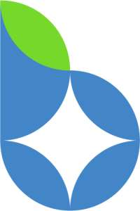 Bridging Cyber International icon logo