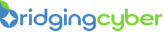 Bridging Cyber International (BCI)